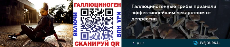Псилоцибиновые грибы мухоморы купить наркоту Торопец